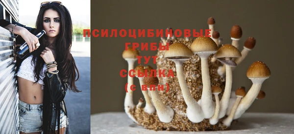 круглые Богородск