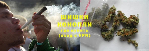 ПСИЛОЦИБИНОВЫЕ ГРИБЫ Богданович