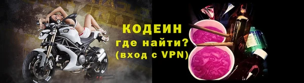 ПСИЛОЦИБИНОВЫЕ ГРИБЫ Богданович