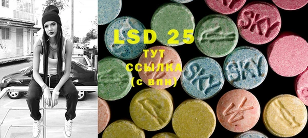 ПСИЛОЦИБИНОВЫЕ ГРИБЫ Богданович