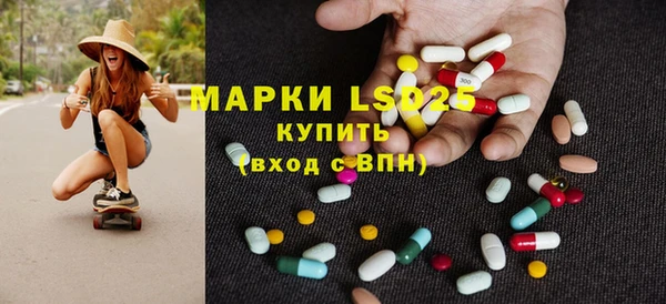 ПСИЛОЦИБИНОВЫЕ ГРИБЫ Богданович
