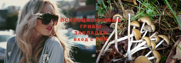 трава Богородицк