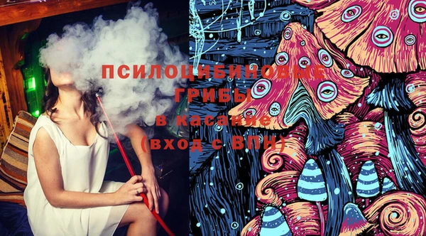 трава Богородицк