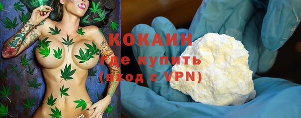 ПСИЛОЦИБИНОВЫЕ ГРИБЫ Богданович
